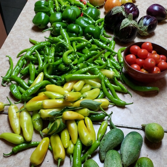 Meet your Posher, Reginald - Picture 1 of 1